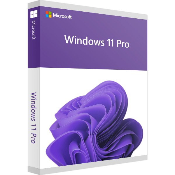 Windows 11 Pro | EN